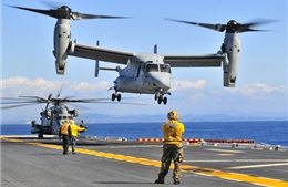  Nhật trang bị thêm 17 trực thăng vận tải Osprey 